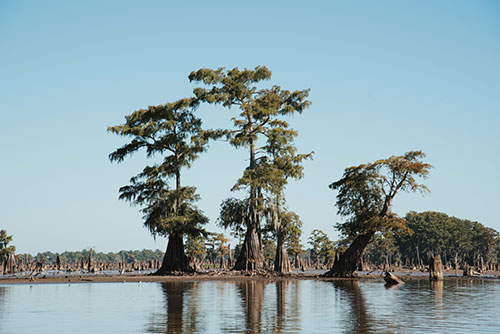 Photo: StoryMap, Treasure